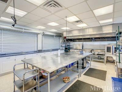 Photo 4 of 36 of park