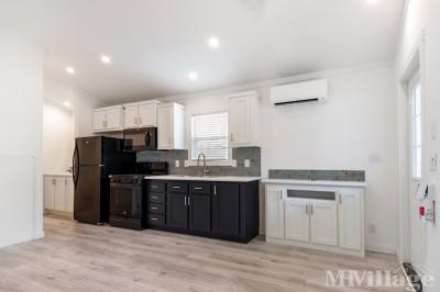 Photo 4 of 25 of park located at 25928 Haynie Flat Road Spicewood, TX 78669