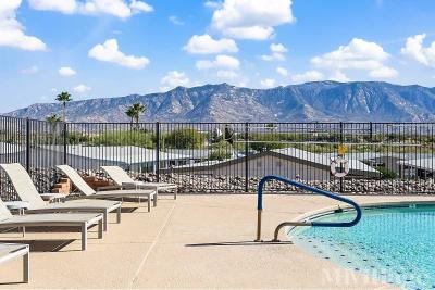 Mobile Home Park in Tucson AZ