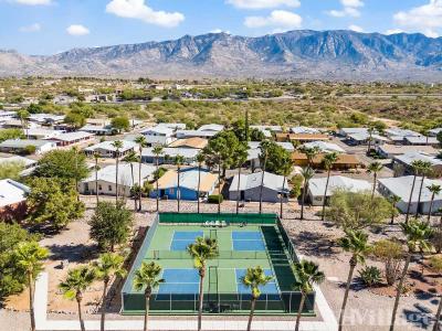 Photo 2 of 12 of park