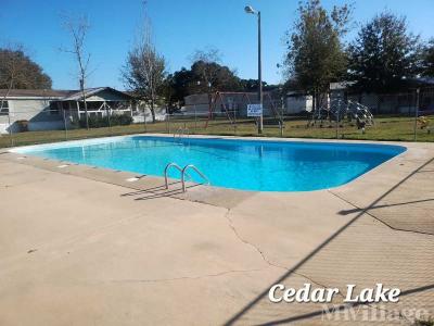 Photo 5 of 5 of park