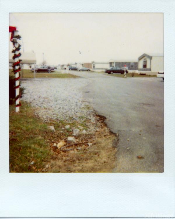 Photo of Westridge Reserve, West Paducah KY