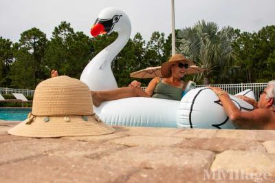 Photo 4 of 67 of park