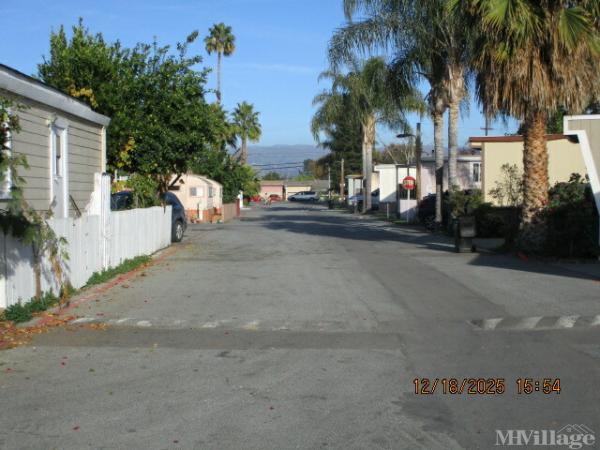 Photo 0 of 2 of park located at 555 McLaughlin Ave San Jose, CA 95116