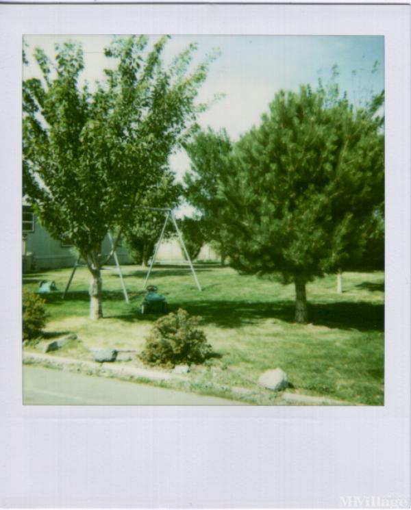 Photo of Kings Court, Nampa ID