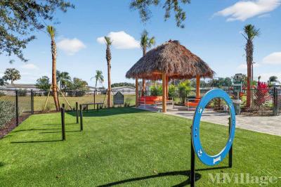 Photo 3 of 20 of park