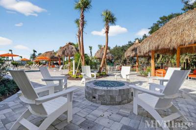 Photo 2 of 20 of park