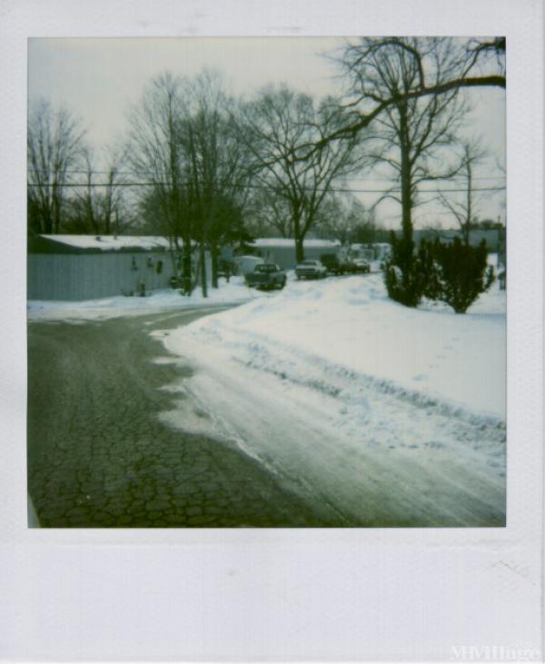 Photo 0 of 2 of park located at 165 - 3rd Street Caro, MI 48723