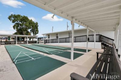 Photo 3 of 13 of park