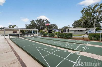 Photo 4 of 13 of park