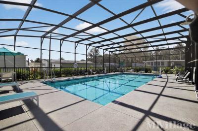 Photo 28 of 21 of park