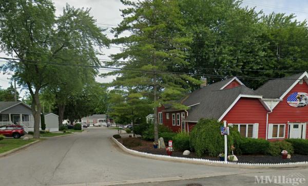 Photo of Willow Tree Village, Bay City MI