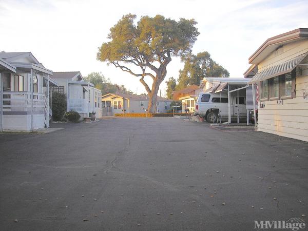 Photo of Camino Del Roble Estates, Atascadero CA