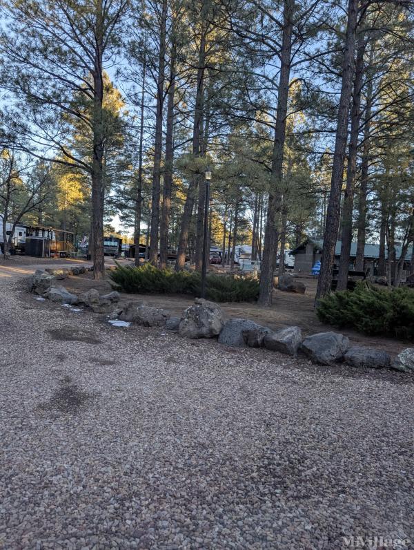 Photo of Homestead Road Mobile Ranch, Lakeside AZ