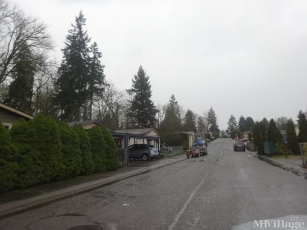 Photo of Clark's Glen, Kent WA