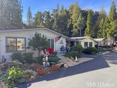 Mobile Home Park in Bass Lake CA