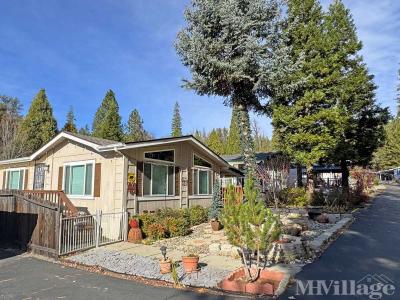 Photo 2 of 28 of park located at 39737 Road 274 Bass Lake, CA 93604