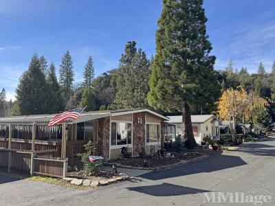 Photo 3 of 28 of park located at 39737 Road 274 Bass Lake, CA 93604