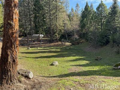 Photo 5 of 28 of park located at 39737 Road 274 Bass Lake, CA 93604