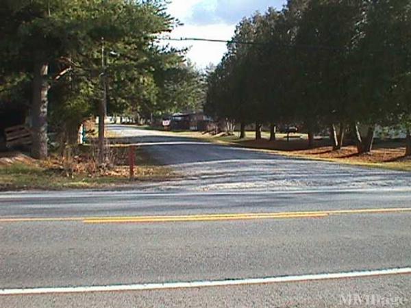 Photo 1 of 2 of park