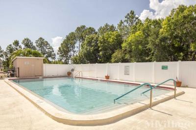 Photo 5 of 5 of park located at 15666 49th Street North Clearwater, FL 33762