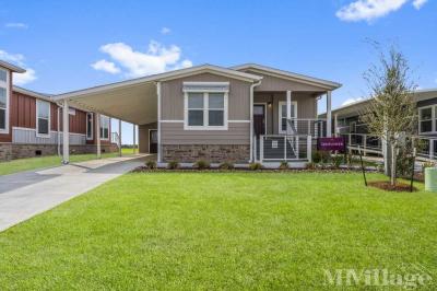 Photo 4 of 45 of park