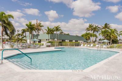 Photo 3 of 55 of park