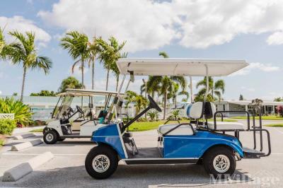 Photo 1 of 55 of park