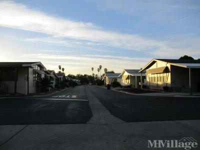 Mobile Home Park in Hemet CA