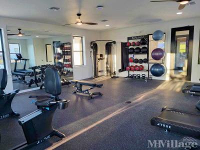 Photo 2 of 6 of park