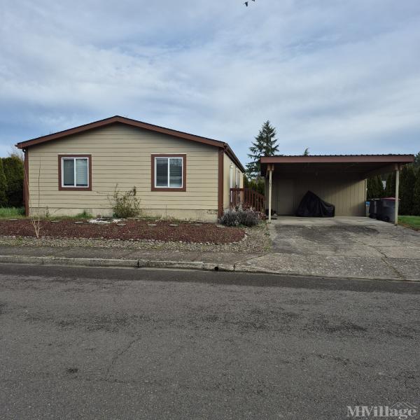 Photo of Wing Louie, Mcminnville OR