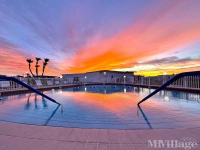 Photo 4 of 13 of park