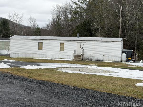 Photo of Mountain View Way, Stephentown NY