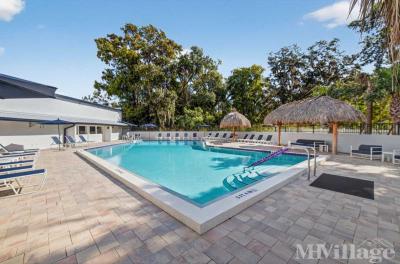 Photo 2 of 23 of park