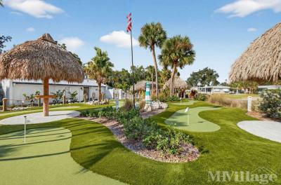 Photo 4 of 23 of park