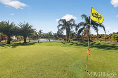 Photo 2 of 35 of park