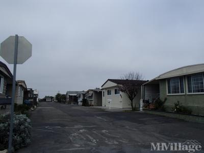 Mobile Home Park in Carson CA