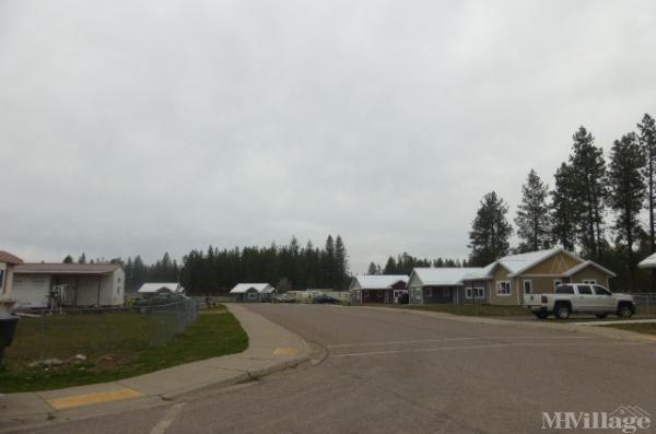 Photo of Maggie Ashley MHP, Ronan MT