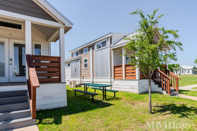 Photo 5 of 22 of park