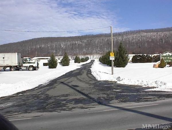 Photo of Short Mountain Village, Lykens PA