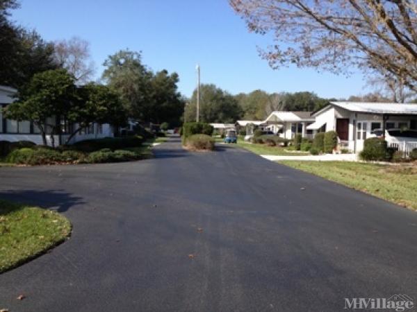 Photo of Villa Farms, Palatka FL