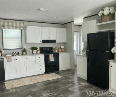 Mobile Home Park in Tampa FL