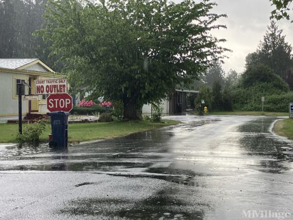 Photo of Maple Lane, Sedro Woolley WA