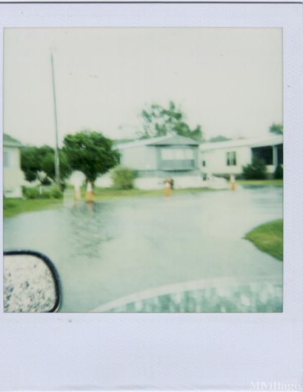 Photo 0 of 2 of park located at 1121 Golden Parkway Saint Cloud, FL 34769