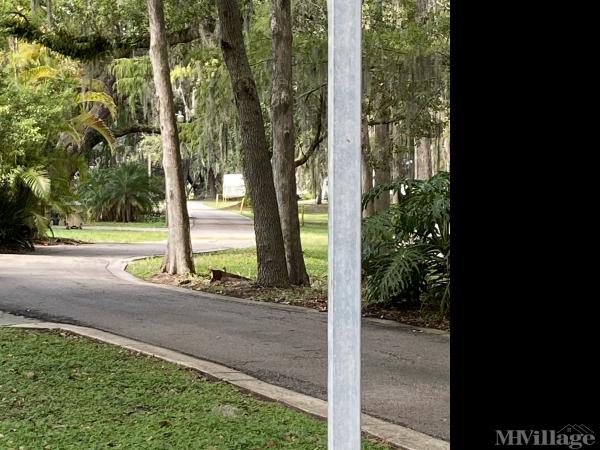 Photo 0 of 2 of park located at 4500 Clear Creek Lane Saint Cloud, FL 34771
