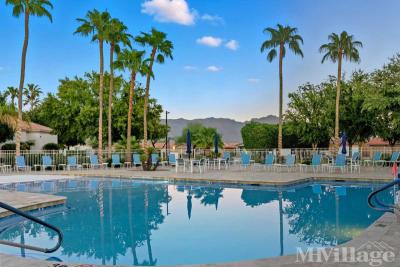 Photo 4 of 24 of park located at 3301 South Goldfield Road Apache Junction, AZ 85119