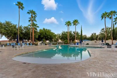 Photo 5 of 24 of park located at 3301 South Goldfield Road Apache Junction, AZ 85119