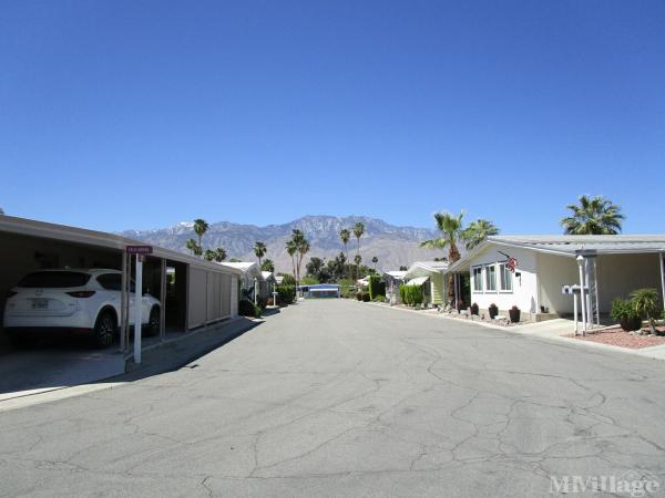 Photo of Palm Springs View Estates, Palm Springs CA