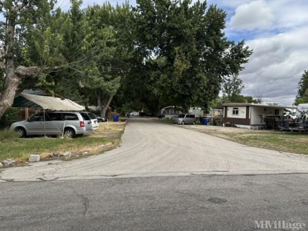 Photo of Island Village, Eagle ID