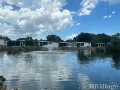 Photo 3 of 11 of park located at 7107 Gibraltar Ave., Office New Port Richey, FL 34653